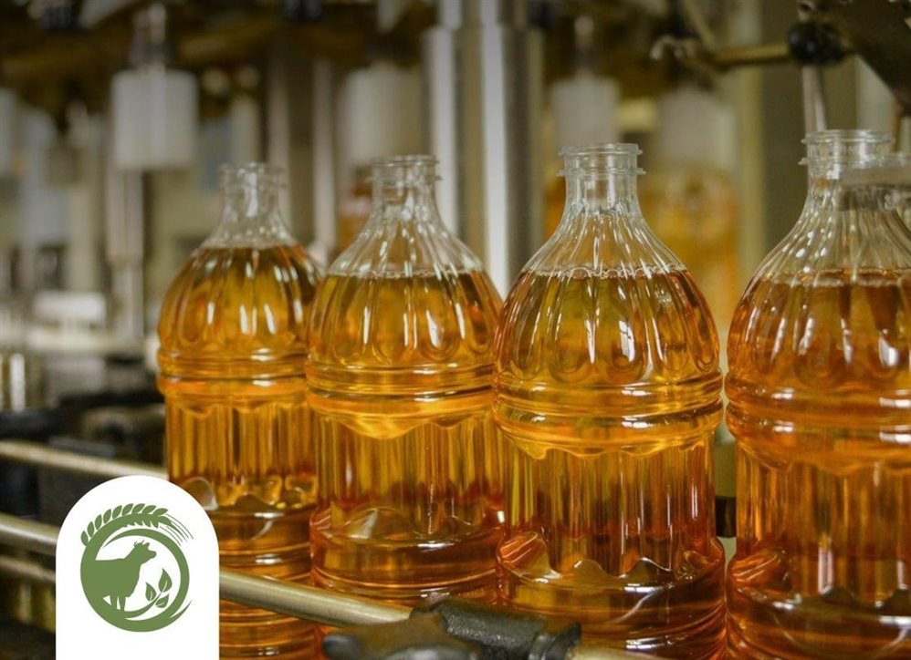 В Ульяновской области выросло производство растительного масла