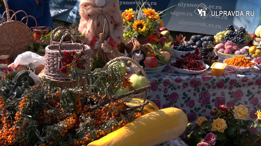 Ульяновские садоводы показали урожай и отпраздновали окончание сезона