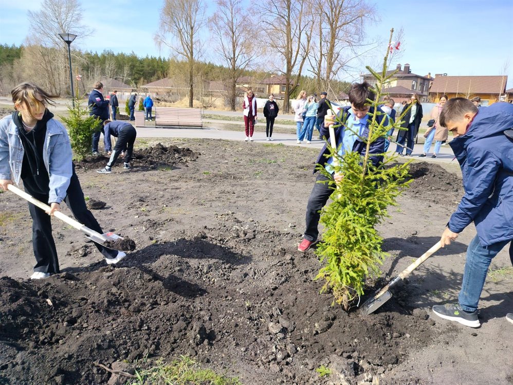Осенью в Ульяновске высадят 635 деревьев и тысячу кустарников