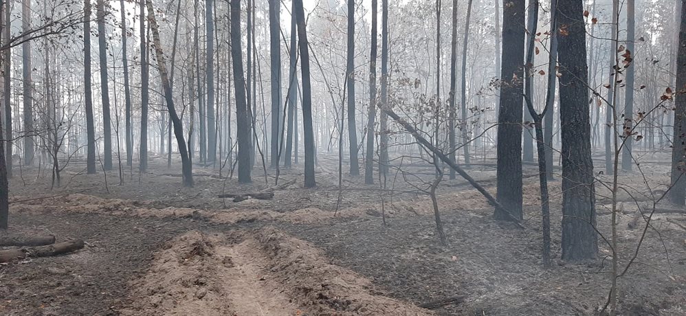Охвачено было 15 гектаров. В Инзенском районе потушили лесной пожар