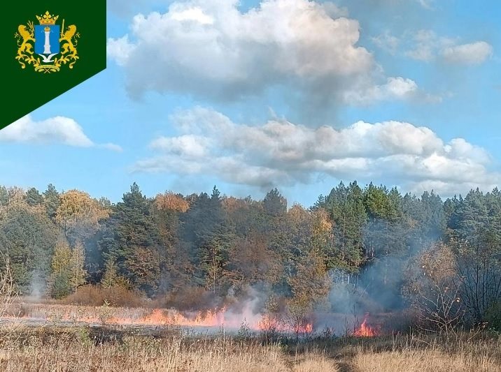В Кузоватовском районе предотвратили лесной пожар