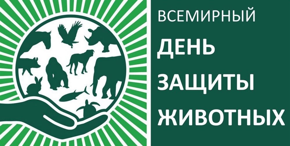 На следующей неделе в ульяновских ветклиниках бесплатно подлечат животных