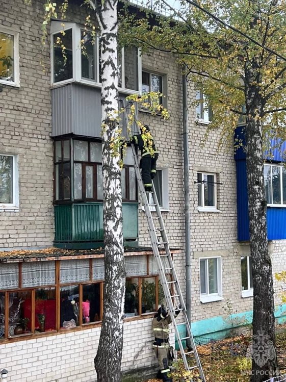В Ульяновске пожарные залезли в окно и спасли ребенка