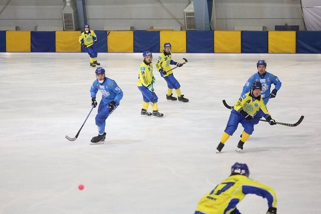 В Ульяновской области стартовал международный турнир по хоккею с мячом