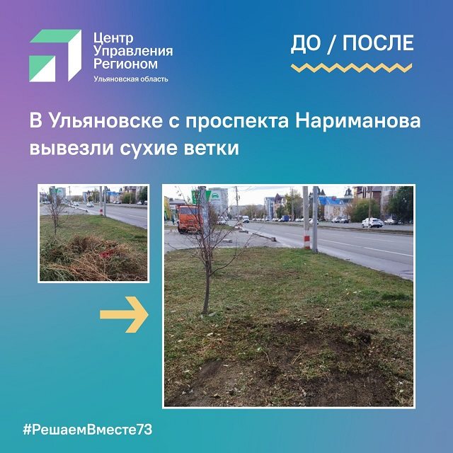 В Ульяновске с проспекта Нариманова вывезли сухие ветки