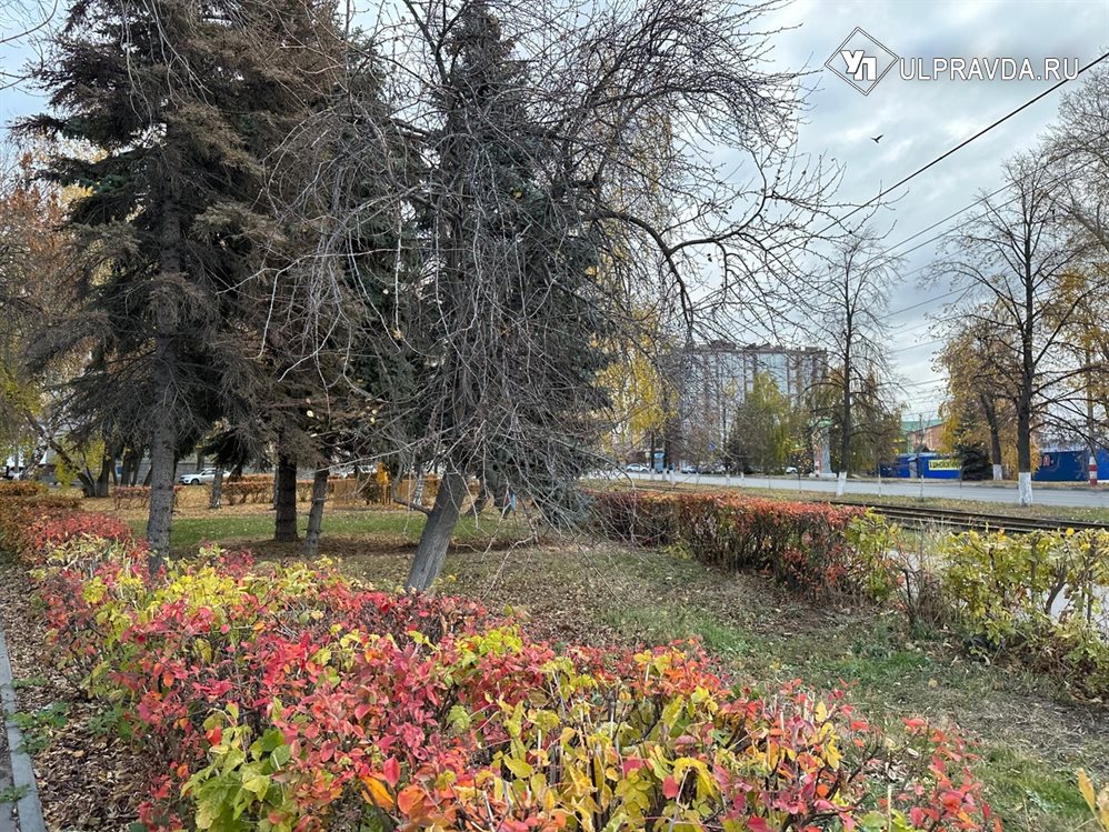 Сегодня в Ульяновской области ожидается минусовая температура