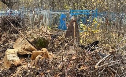 Завалило могилы. Жительница села Астрадамовка пожаловалась губернатору на хлам на кладбище