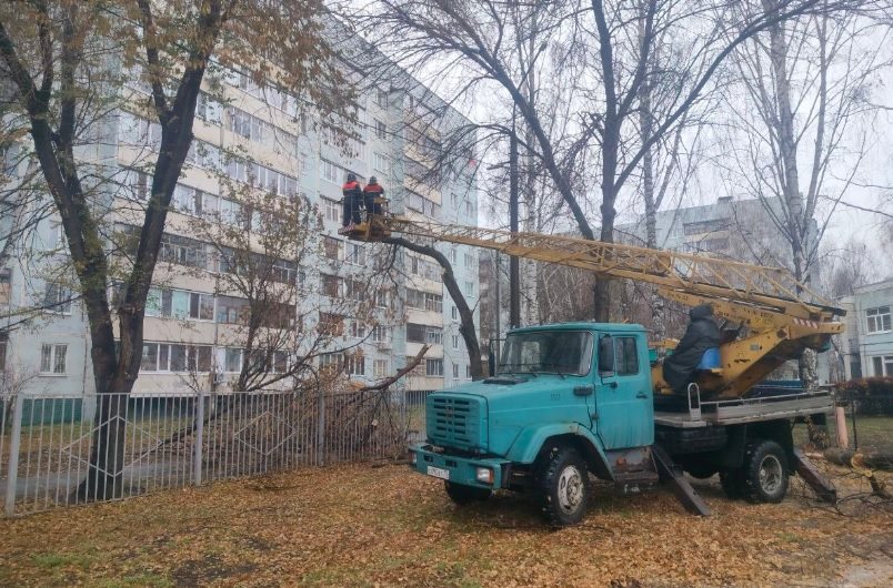В Ульяновске с 16 октября спилено и обрезано более тысячи деревьев