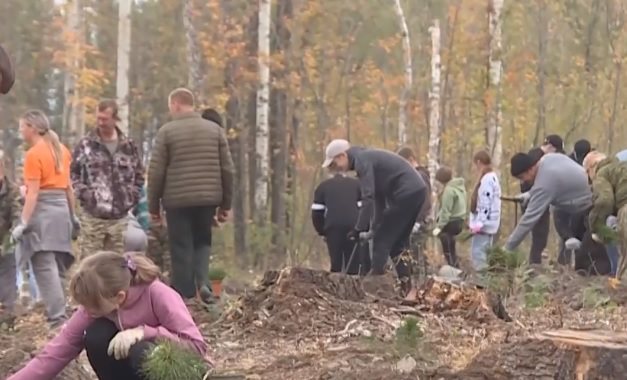 Алексей Русских: «Забота о лесах — наша общая задача»