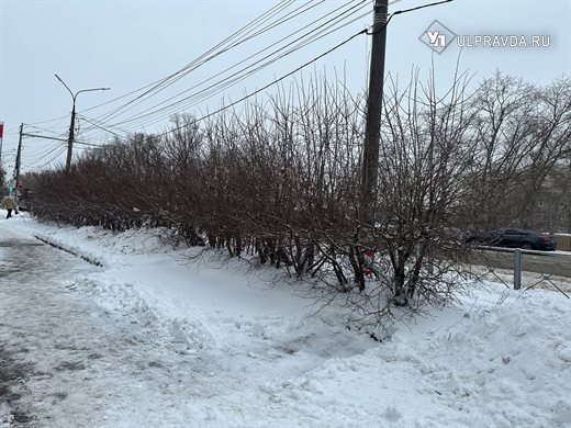 На Ульяновск надвигается сильный снег