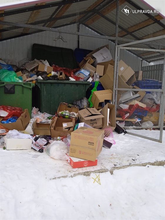 Крысы атакуют. Николаевский район Ульяновской области утопает в мусоре