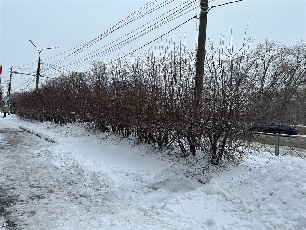 В Ульяновске волонтеры спасли замерзшую на остановке женщину