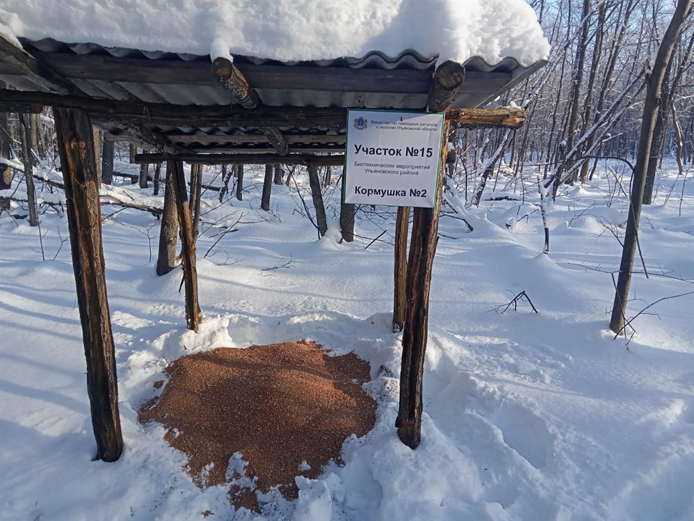 В лесах Ульяновской области установили кормушки для диких животных