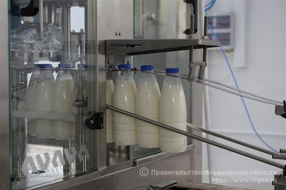 Ульяновские молокозаводы получат 24,1 миллиона рублей из федерального бюджета