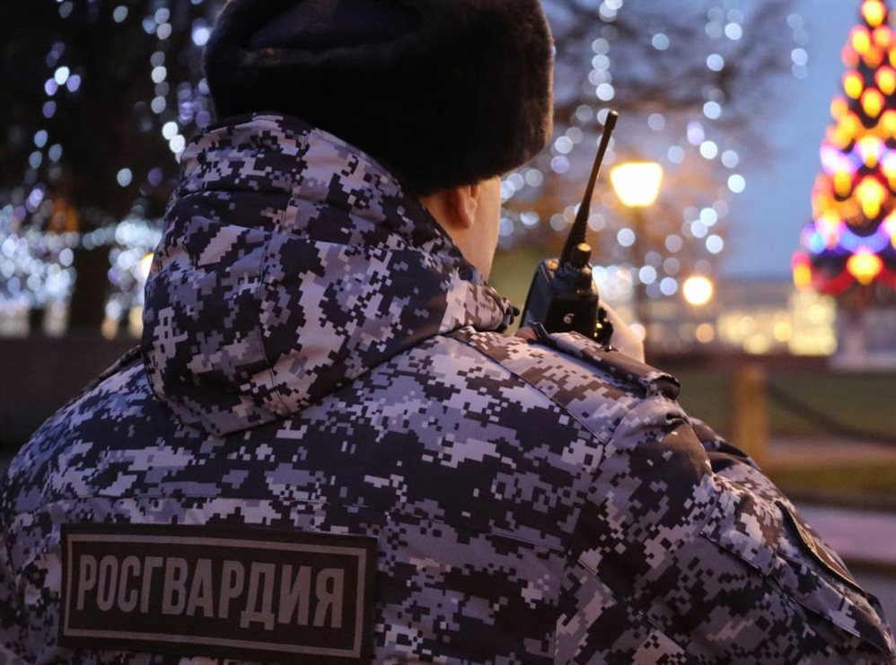 В Ульяновской области правопорядок в новогоднюю ночь обеспечат росгвардейцы