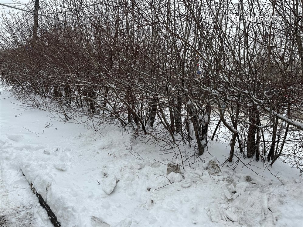 В Ульяновской области ожидаются 30-градусные морозы