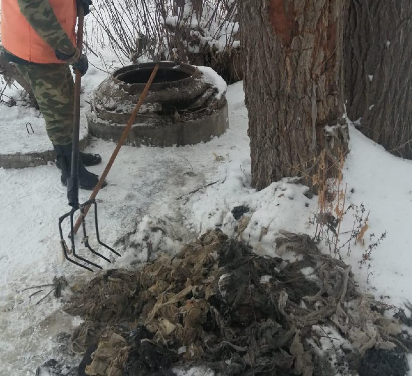 В Ульяновске в унитаз смыли котёнка, в канализационном колодце обнаружили стиральную машину