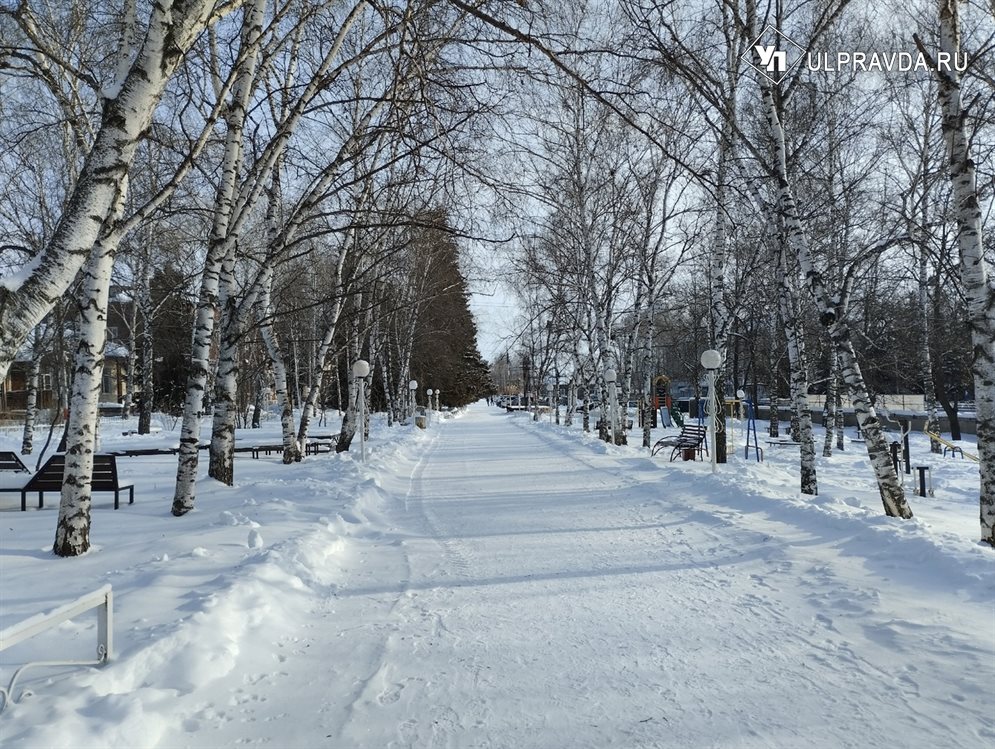 Морозы начнут отступать из Ульяновской области