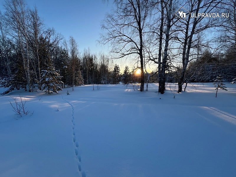 22 января в Ульяновской области ожидается 26-градусный мороз и гололедица