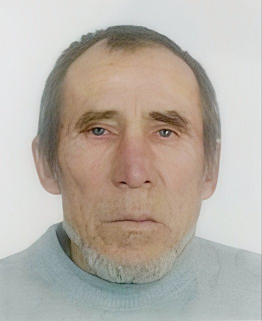 В Ульяновской области ведутся поиски 65-летнего мужчины