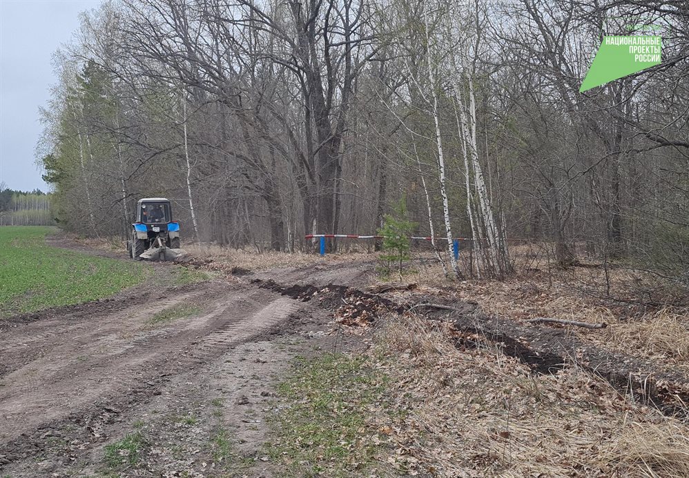 В Ульяновской области усилят работу по недопущению лесных пожаров
