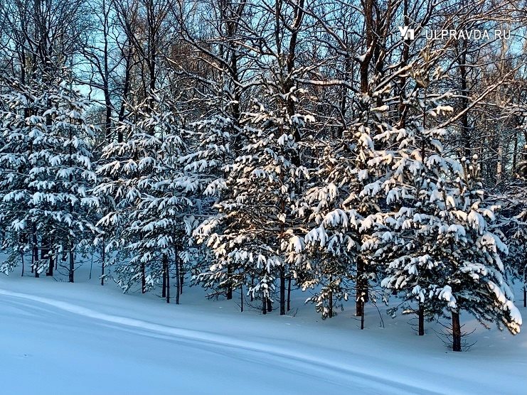Мокрый предложение. Мокрый дождя не боится пословица. Мокрый предложение. Второе предложение. Мокрый предложение.