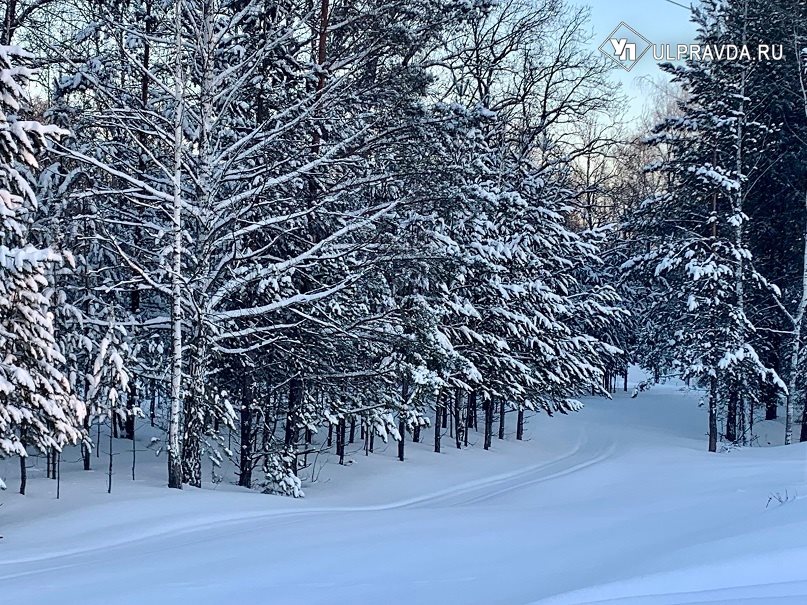 19 февраля синоптики обещают жителям Ульяновской области легкий морозец и снежные заносы