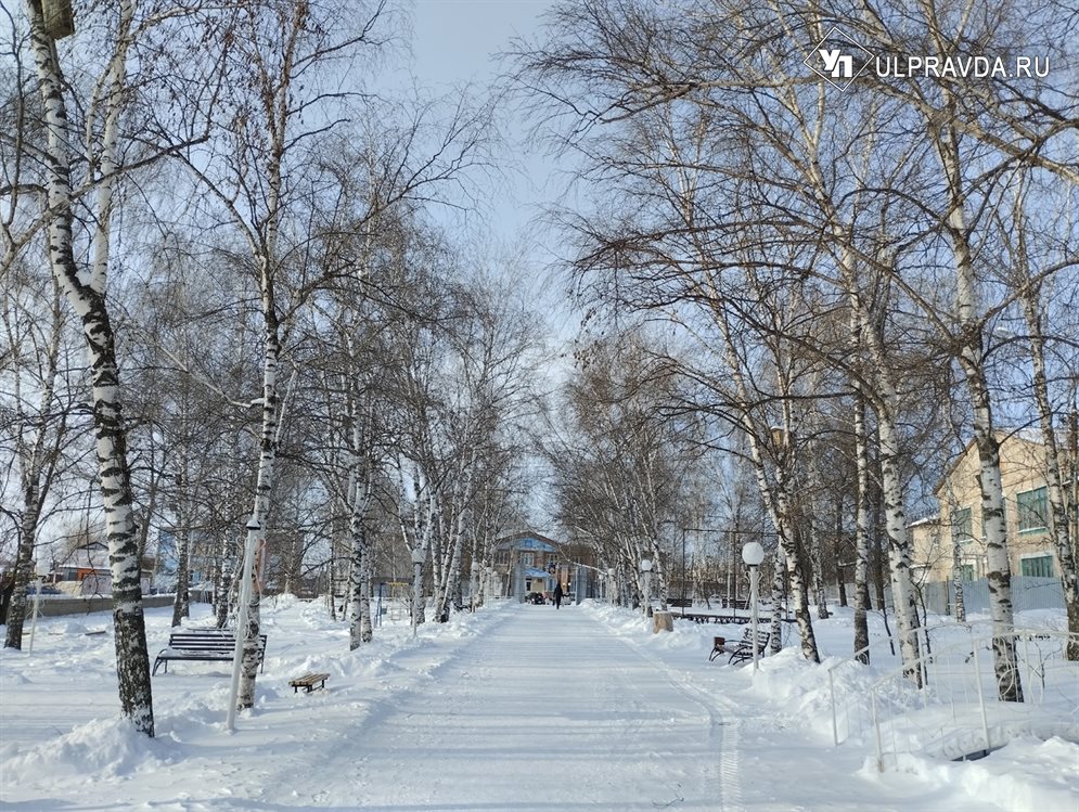 Ясную погоду и морозец пообещали жителям Ульяновской области