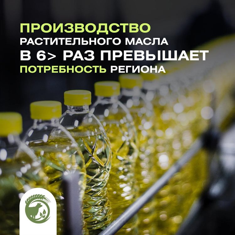 В Ульяновской области произвели растительного масла в шесть раз больше потребности населения