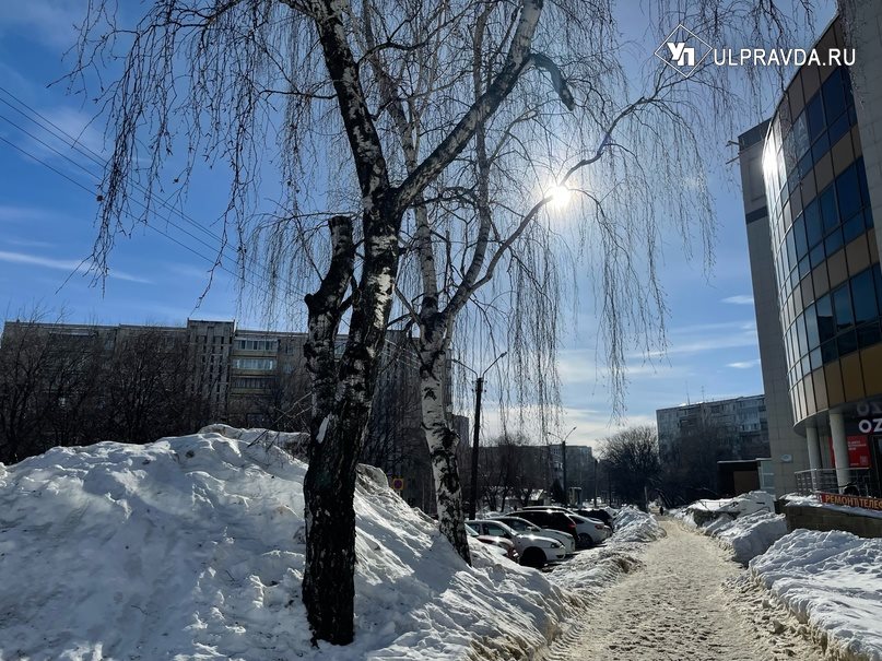 В Ульяновской области сегодня будет тепло и ясно