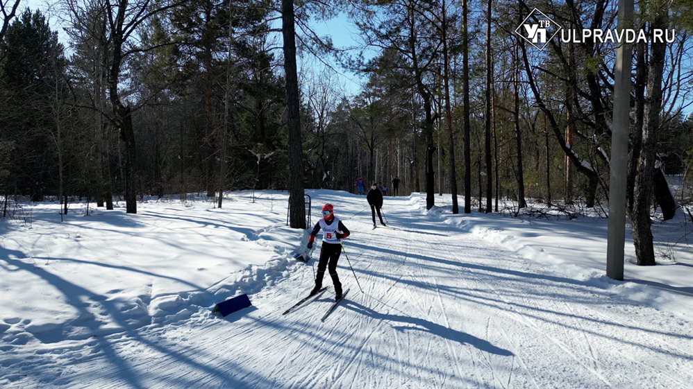 Лыжники Поволжья разыграли награды на соревнованиях в Ульяновске