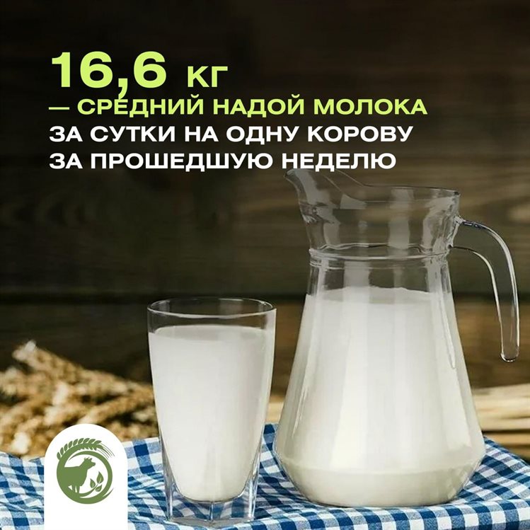 В Ульяновской области средний надой молока вырос на 5,7%