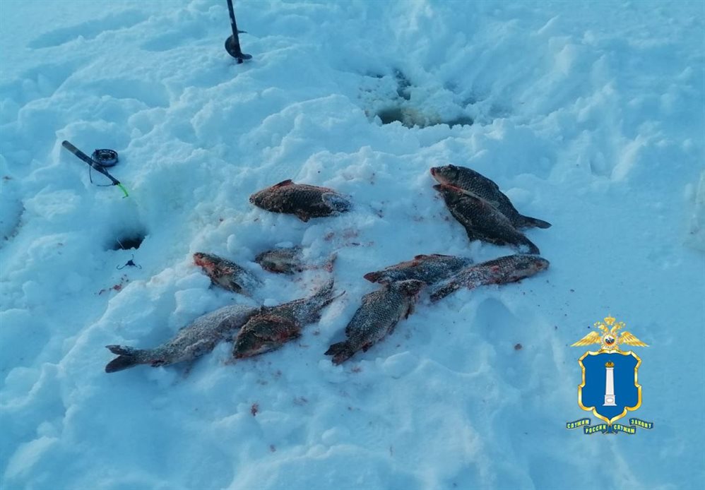 Незаконно ловили рыбу. В Ульяновской области задержали двух браконьеров