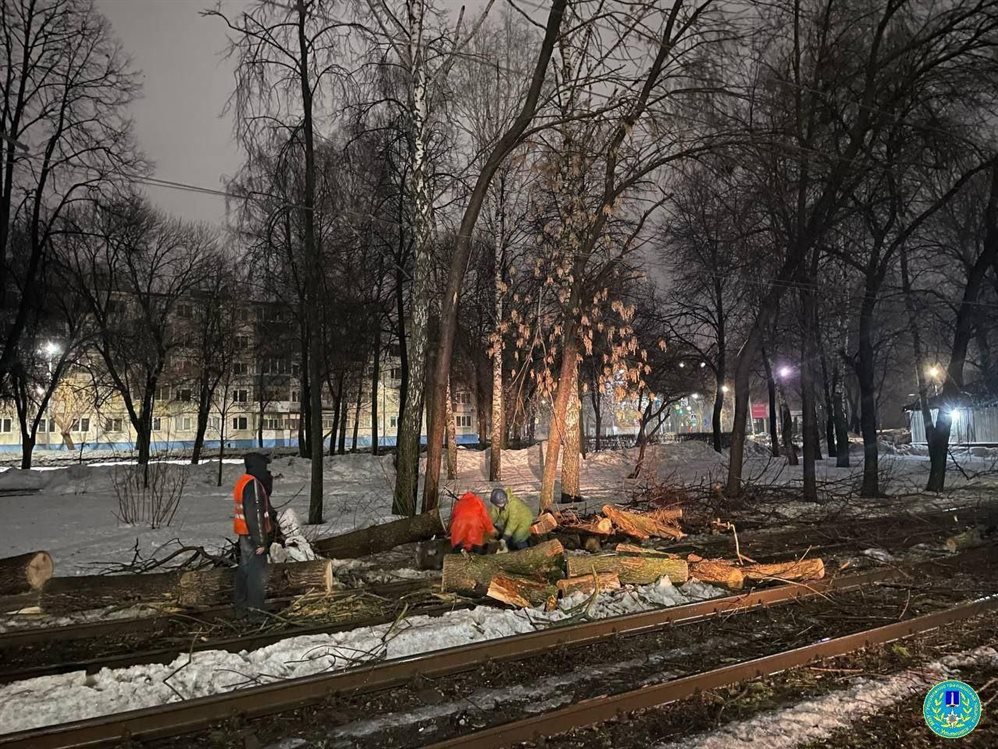 Коллапс в Ульяновске: падают деревья, затопило улицы