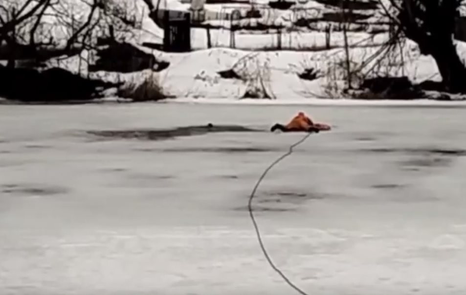 Ульяновские спасатели помогли собаке, которая провалилась под лёд Свияги
