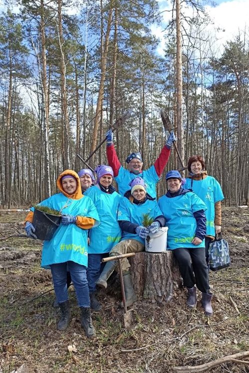 Ульяновцы собрались вместе и высадили гектар леса в Сенгилеевском районе