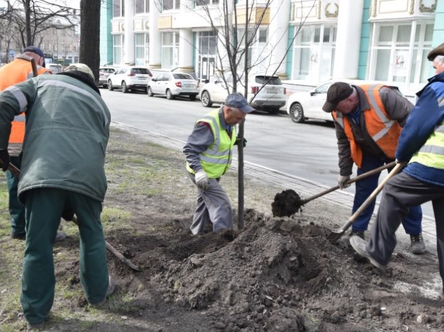 Улицы Ульяновска начали озеленять