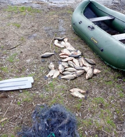 Ловили рыбу с помощью сетей. В Ульяновской области задержали двух браконьеров