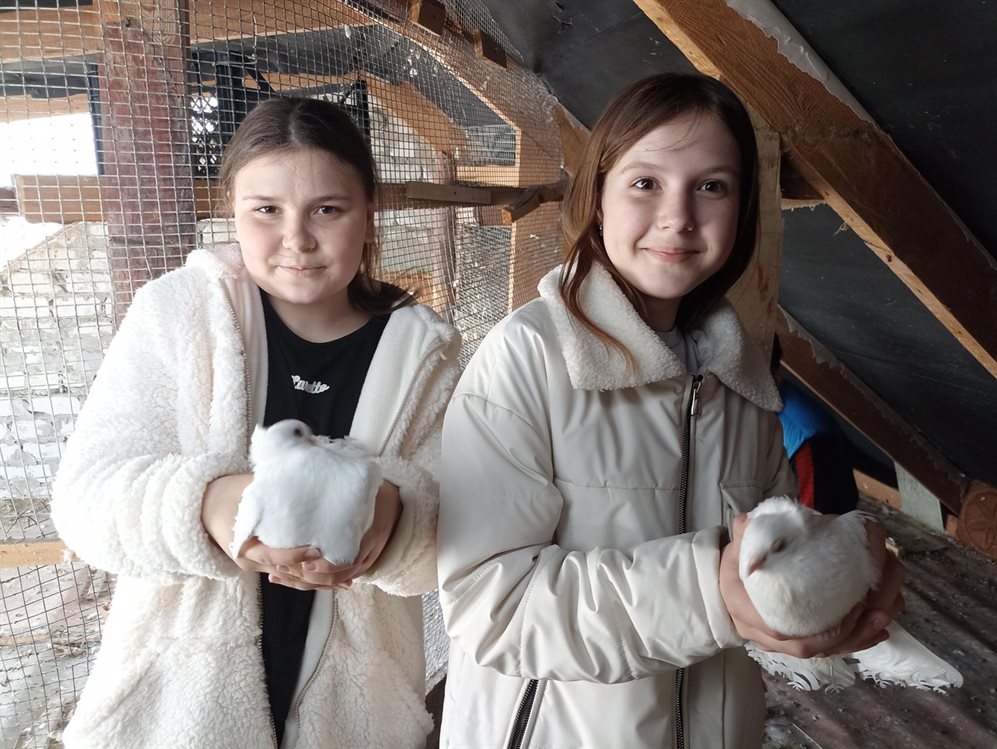 В Ульяновской области династия сельчанин разводит необычных голубей