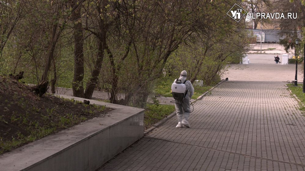 Безопасные прогулки. Ульяновские парки обрабатывают от клещей
