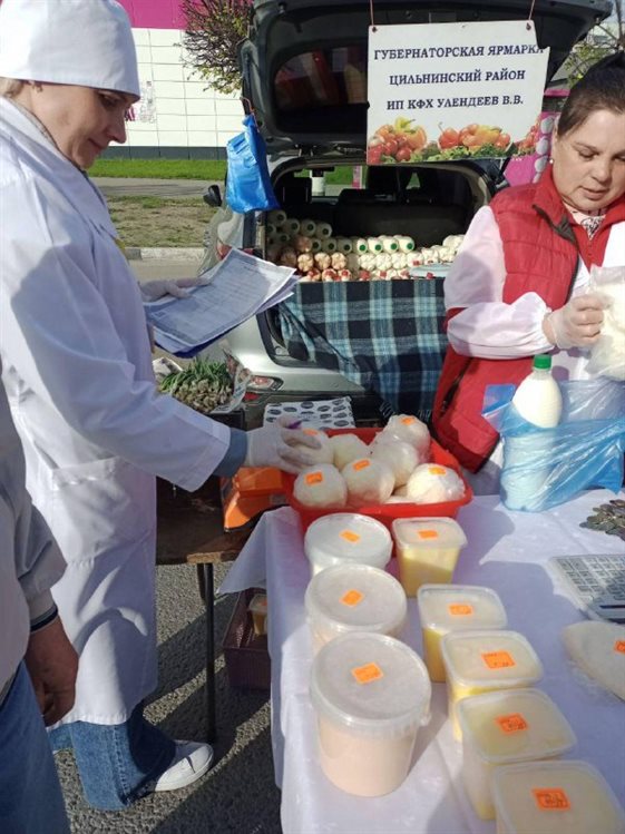 Ульяновские ветеринары проверили 132480 яиц в Заволжье