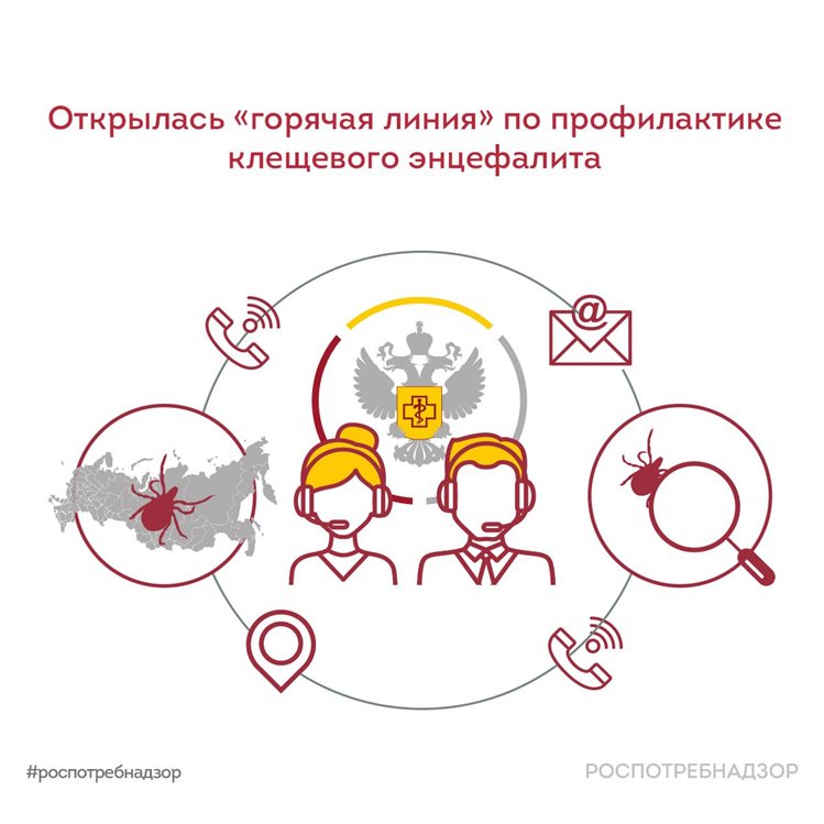 В Ульяновской области открылась «горячая линия» по профилактике клещевого энцефалита