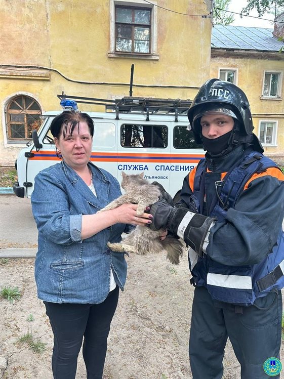 Ульяновские спасатели пришли на помощь маленькому котенку