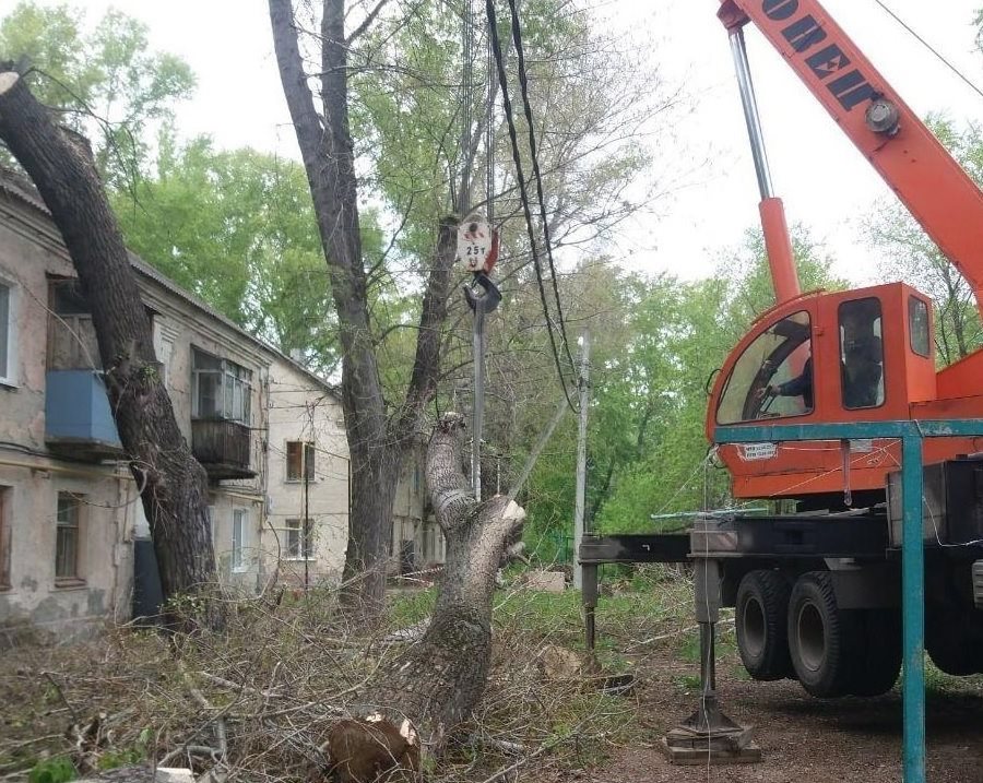 В Ульяновске на крышу дома упало дерево