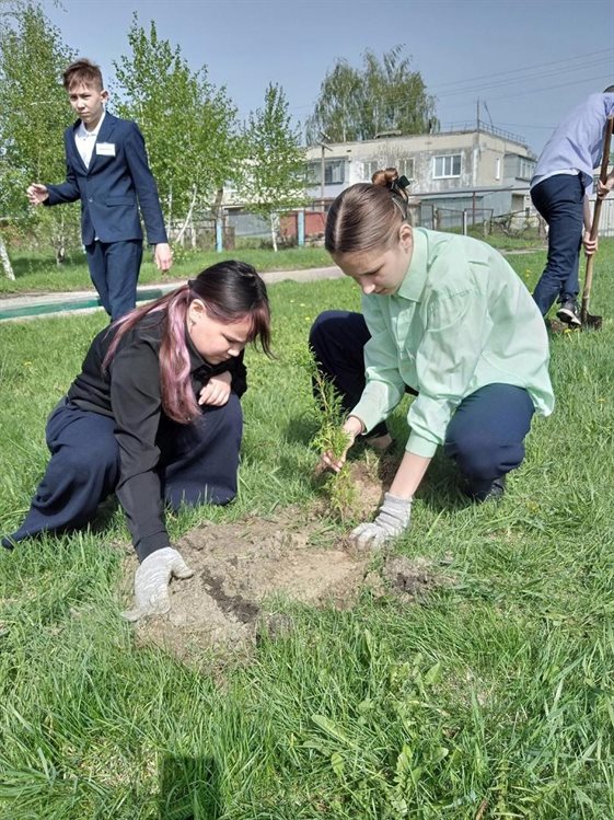 В Ульяновской области школьники посадили Сад памяти