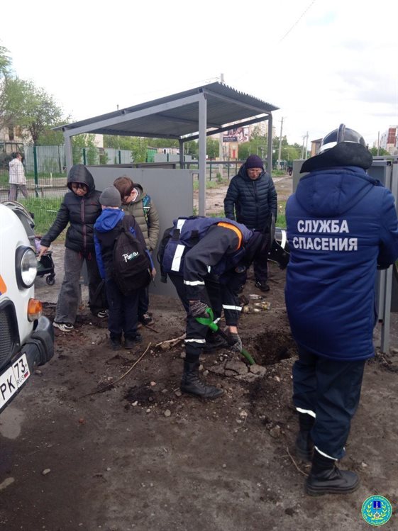 Ульяновские спасатели вытащили из ямы ёжика