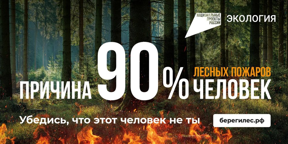 В ульяновских лесах действует особый противопожарный режим
