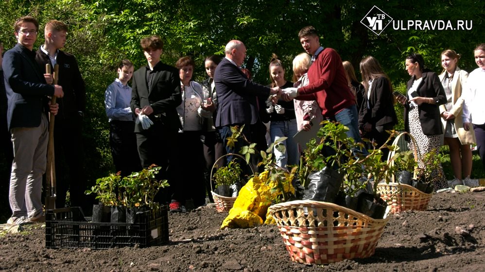 Розы на прощание. Ульяновские школьники создали сад поколений