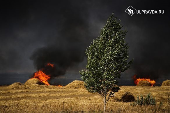 Ульяновцев предупреждают о высокой пожарной опасности в ближайшие дни