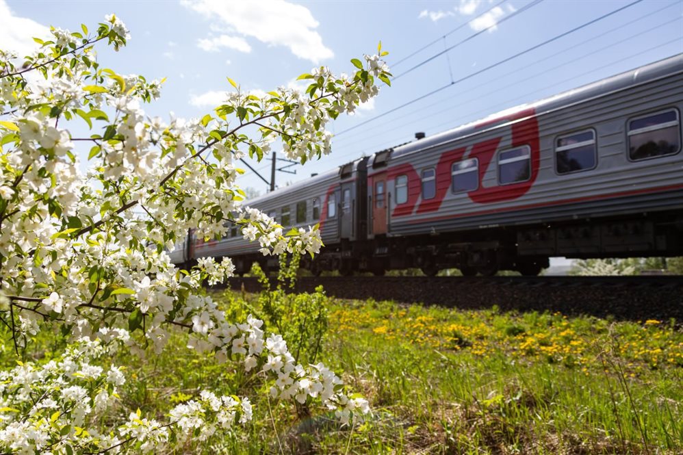 Жители Ульяновской области стали чаще путешествовать в пригородных поездах